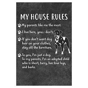My House Rules Notebook Journal: 110 Blank Lined Papers - 6x9 Personalized Custo
